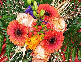花束,鮮花,束鮮花