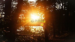 自然,光,太陽