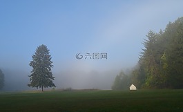 霧,上午,草甸