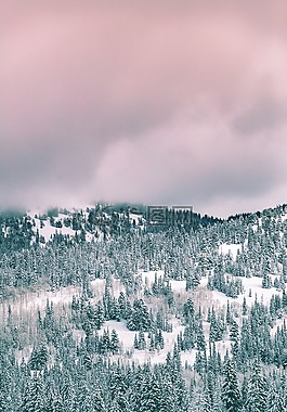 雪,冬天,白