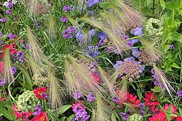 床,鮮花,別墅花園