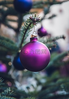圣誕節(jié),球,度假