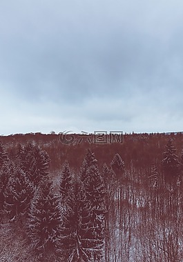 雪,冬天,白