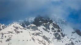 雪,冬天,白