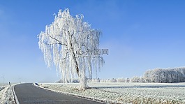 冬天的梦想,寒冬,路