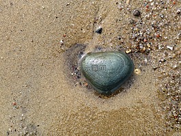 石,海灘,沙