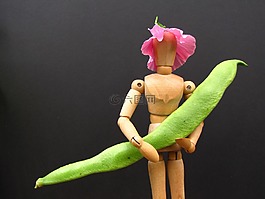 亞軍豆,模特,花園