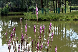 性質(zhì),景觀,旅游