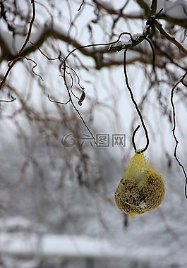 冬天,雪,白