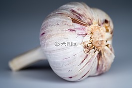 大蒜,食品,香料
