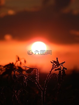 日落,太陽,性質(zhì)