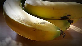 香蕉,水果,香蕉灌木