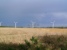 風(fēng)電,windr?der,風(fēng)車