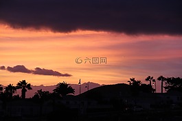 日落,天空,棕櫚樹