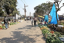 農村市場,印度,市場