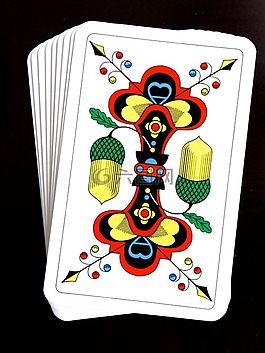 ace,橡子,卡