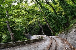 導軌,橋,樹