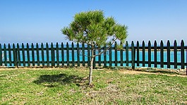 塞浦路斯,protaras,无花果树湾
