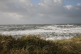 轉寄,海,風