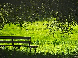 長凳,景觀,公園