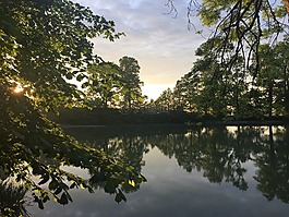 湖,瑞士,水