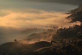 上午,日出,霧
