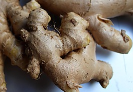 根,姜,香料