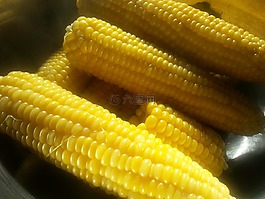 玉米棒,鮮玉米,玉米