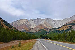 公路,透視,景觀
