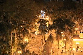 城市,夜,景觀