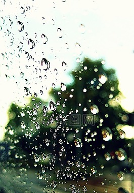 滴,雨,水