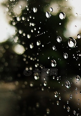 滴,雨,水