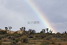 景觀,彩虹,景區(qū)