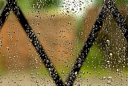 雨,窗口,感激