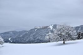 雪,冬天,冷