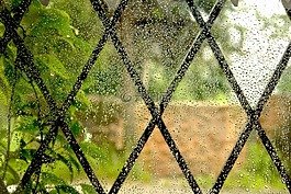 滴,雨,感激
