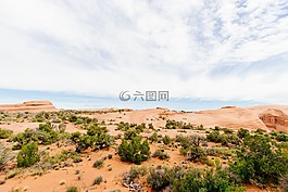 綠色,植物,自然