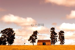 农业,农村,景观