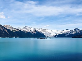 山,森林,樹