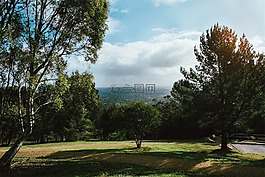 樹(shù),草,徑