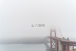 霧,土地,植物