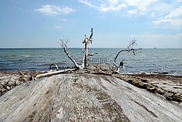 海,引導(dǎo),端口