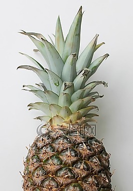 菠蘿,水果,食品