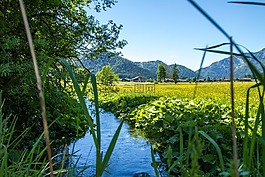過獨(dú)身生活,河,水