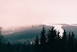 自然,景觀,伍茲