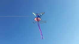 天空,蛇,飛行