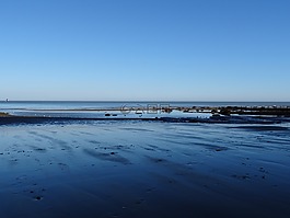 海灘,岸,海洋