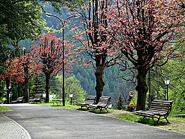 szczawnica的城市,pieniny,波蘭