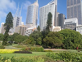 悉尼,澳大利亞,城市