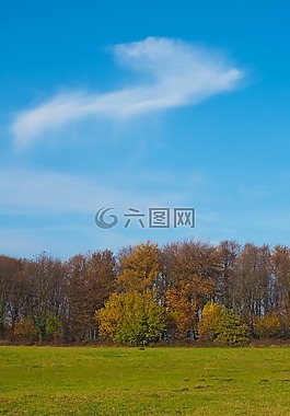秋季,性質(zhì),樹(shù)木
